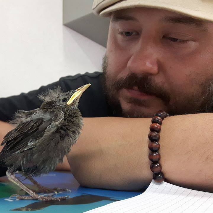 Paweł Dunal Paweł Dunal
